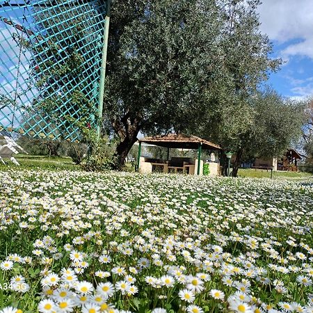 Agriturismo Bio Pian Dei Casali ساتورنيا المظهر الخارجي الصورة