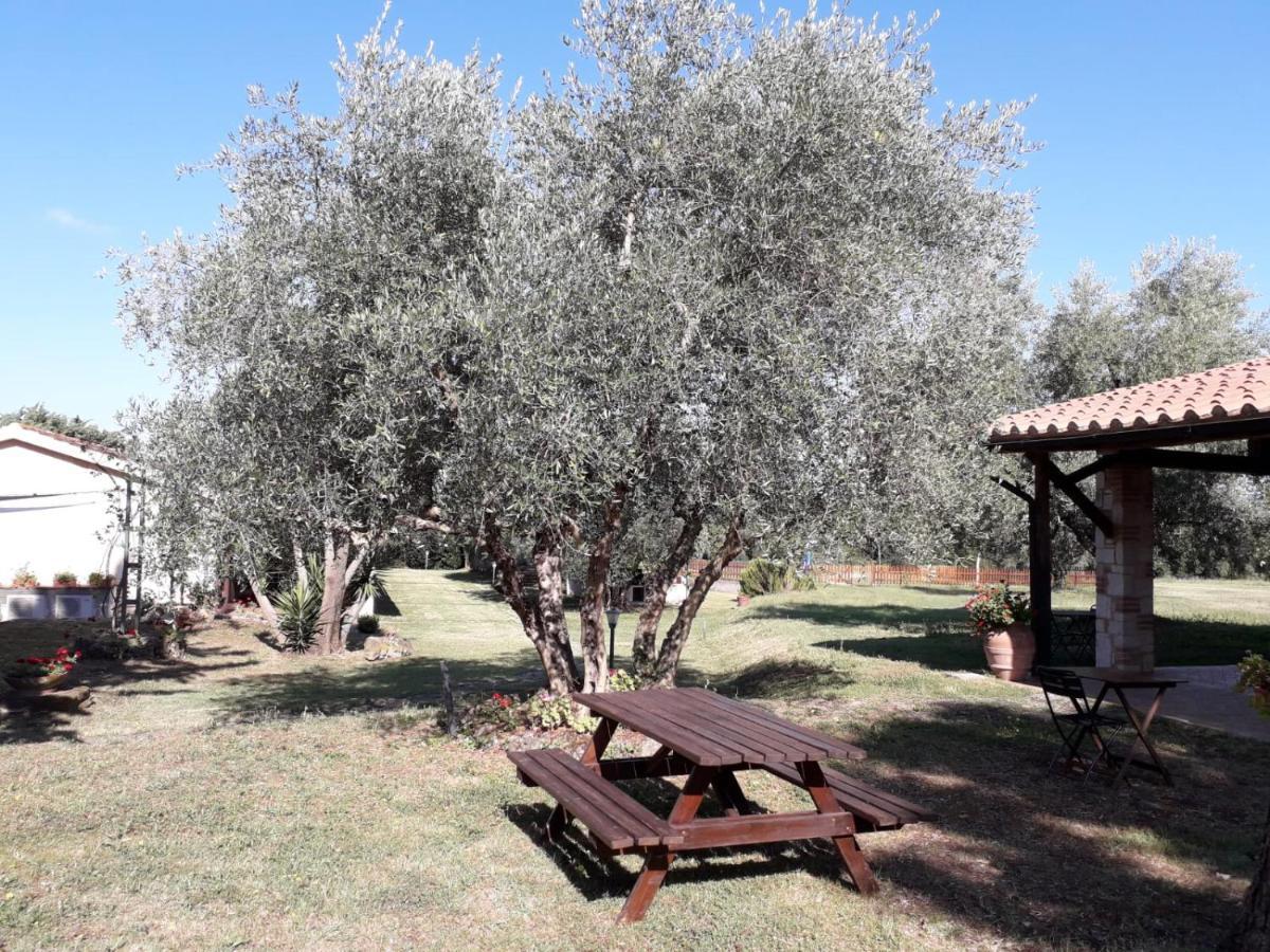 Agriturismo Bio Pian Dei Casali ساتورنيا المظهر الخارجي الصورة