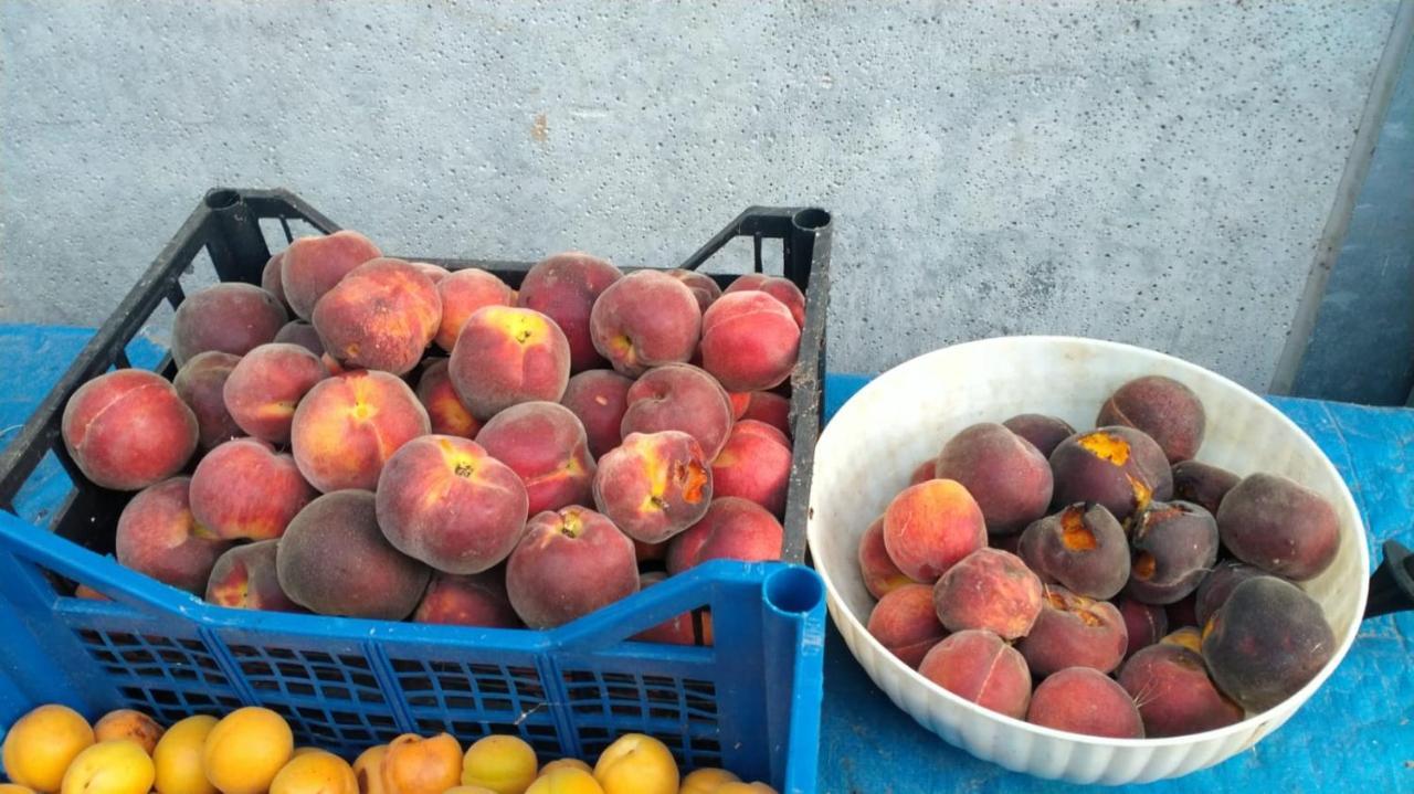 Agriturismo Bio Pian Dei Casali ساتورنيا المظهر الخارجي الصورة