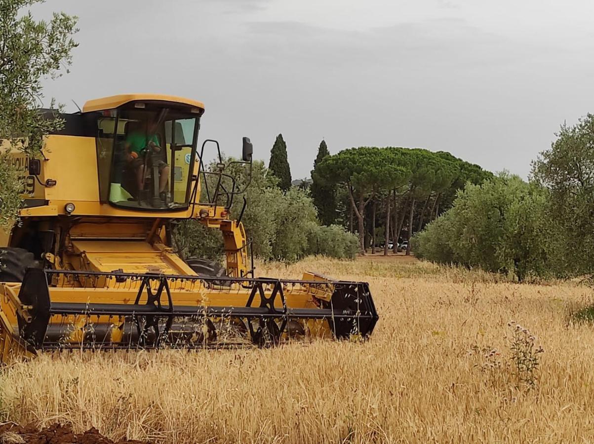 Agriturismo Bio Pian Dei Casali ساتورنيا المظهر الخارجي الصورة