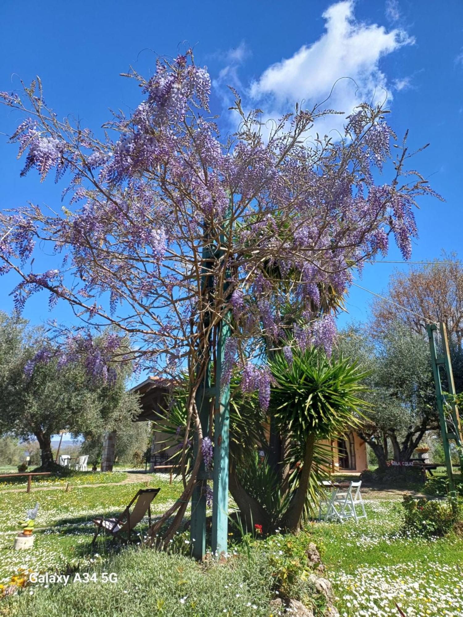 Agriturismo Bio Pian Dei Casali ساتورنيا المظهر الخارجي الصورة