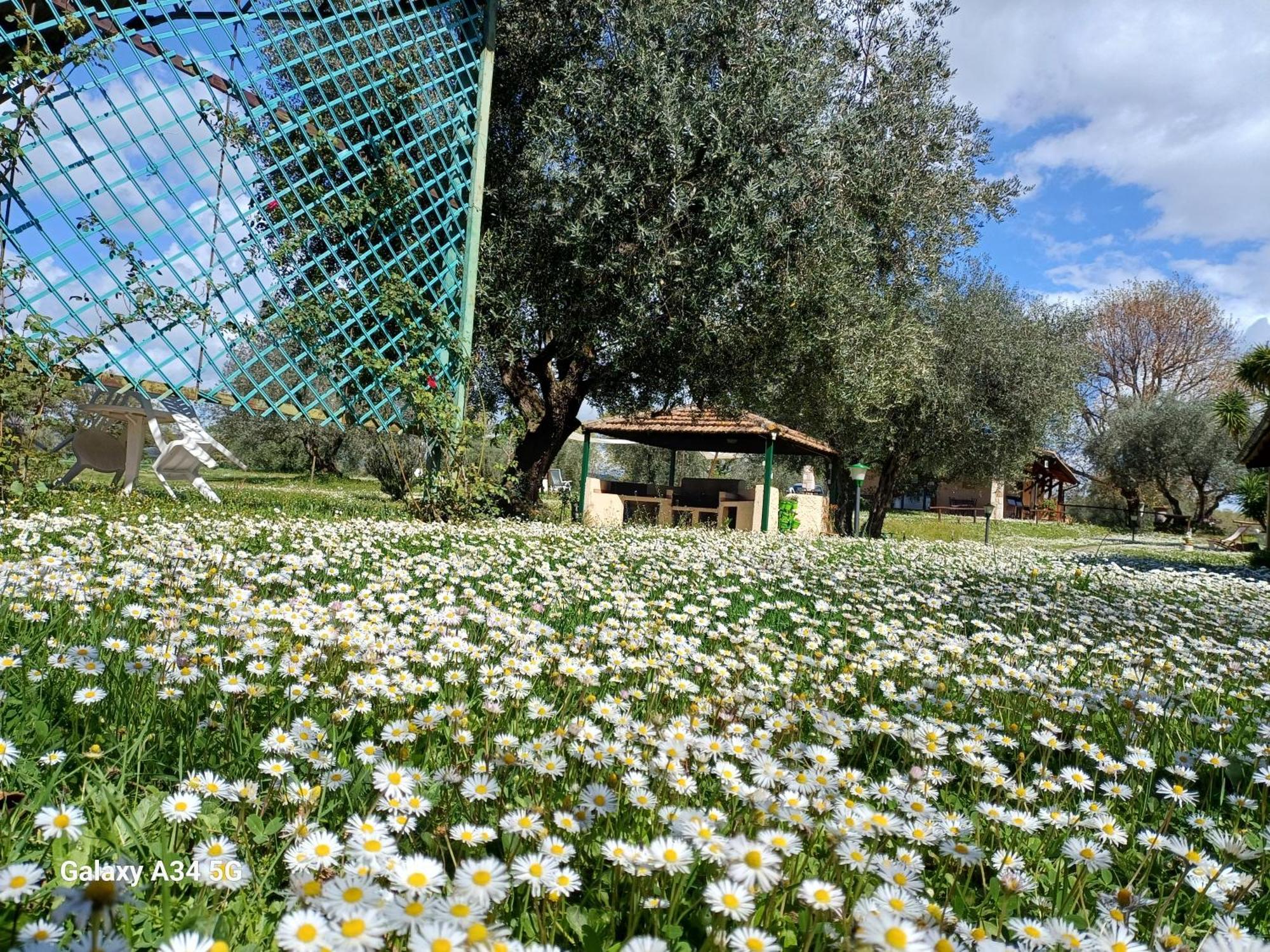 Agriturismo Bio Pian Dei Casali ساتورنيا المظهر الخارجي الصورة