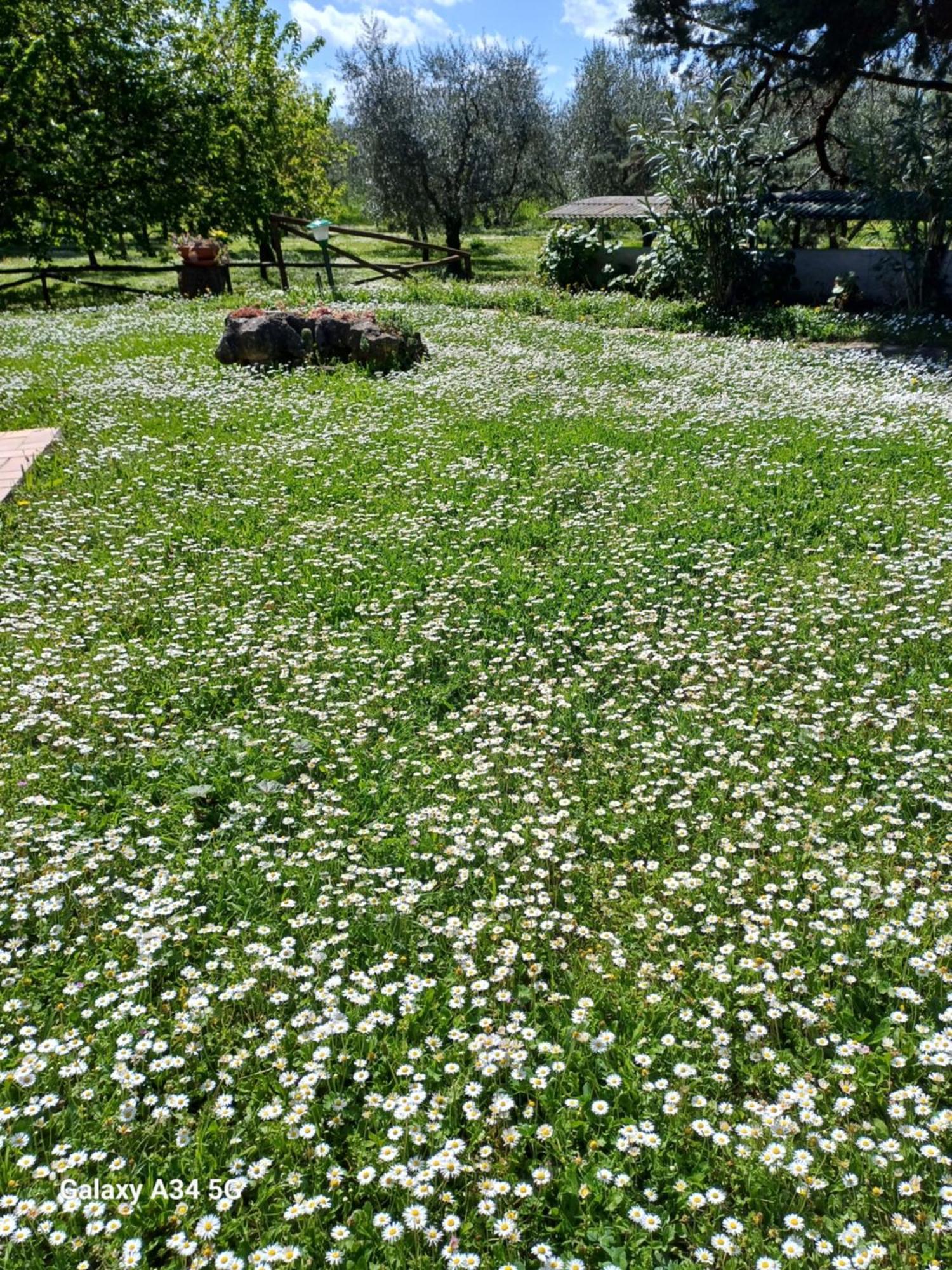 Agriturismo Bio Pian Dei Casali ساتورنيا المظهر الخارجي الصورة