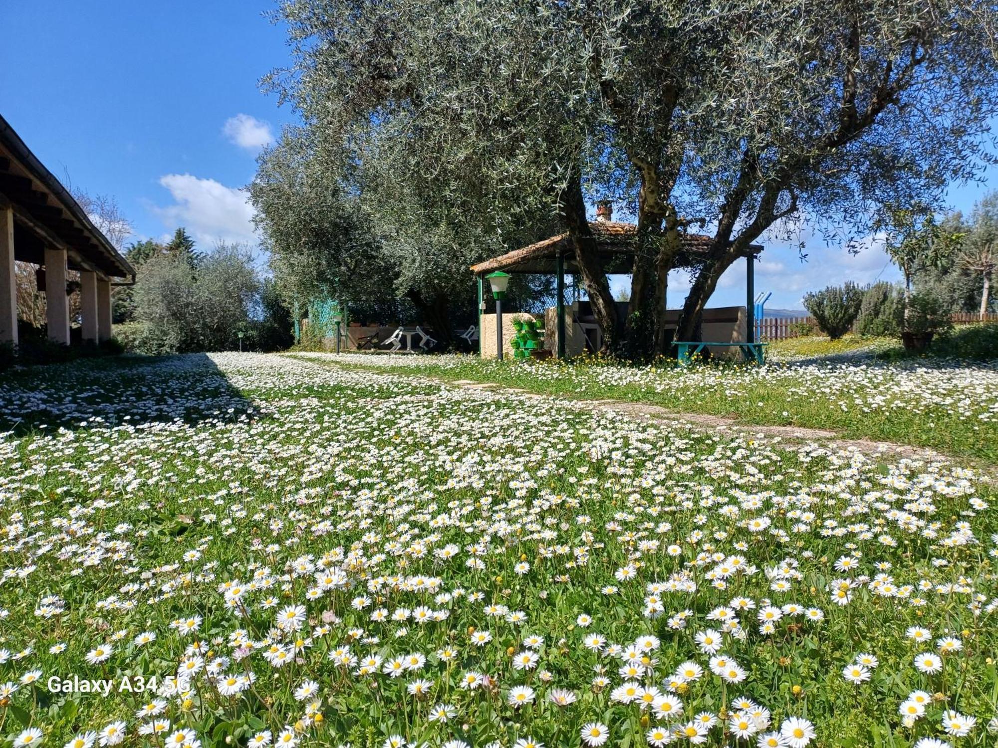 Agriturismo Bio Pian Dei Casali ساتورنيا المظهر الخارجي الصورة