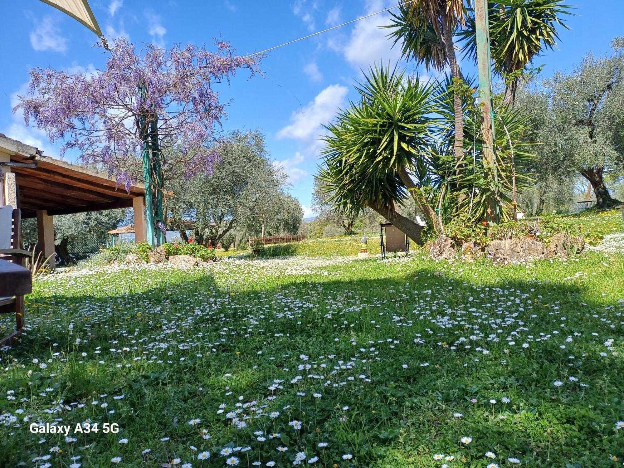 Agriturismo Bio Pian Dei Casali ساتورنيا المظهر الخارجي الصورة