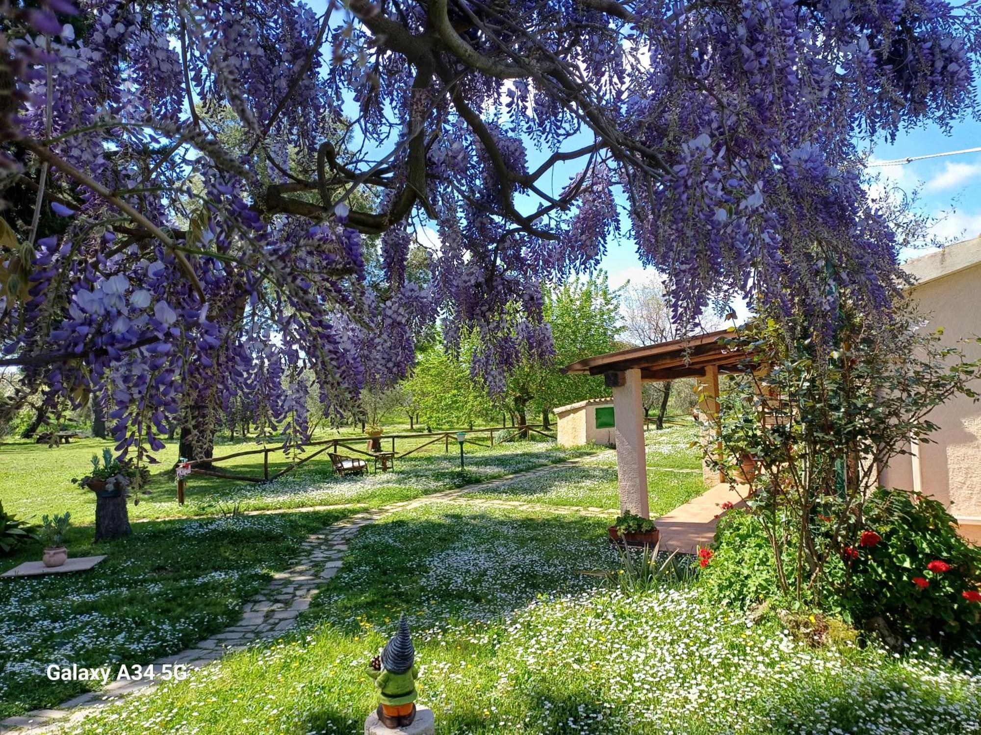 Agriturismo Bio Pian Dei Casali ساتورنيا المظهر الخارجي الصورة