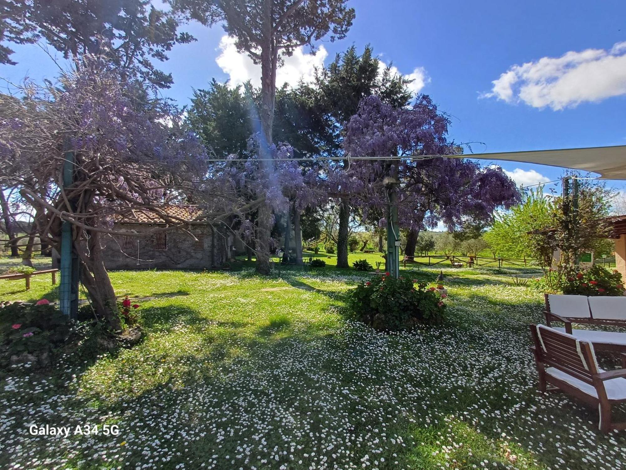 Agriturismo Bio Pian Dei Casali ساتورنيا المظهر الخارجي الصورة