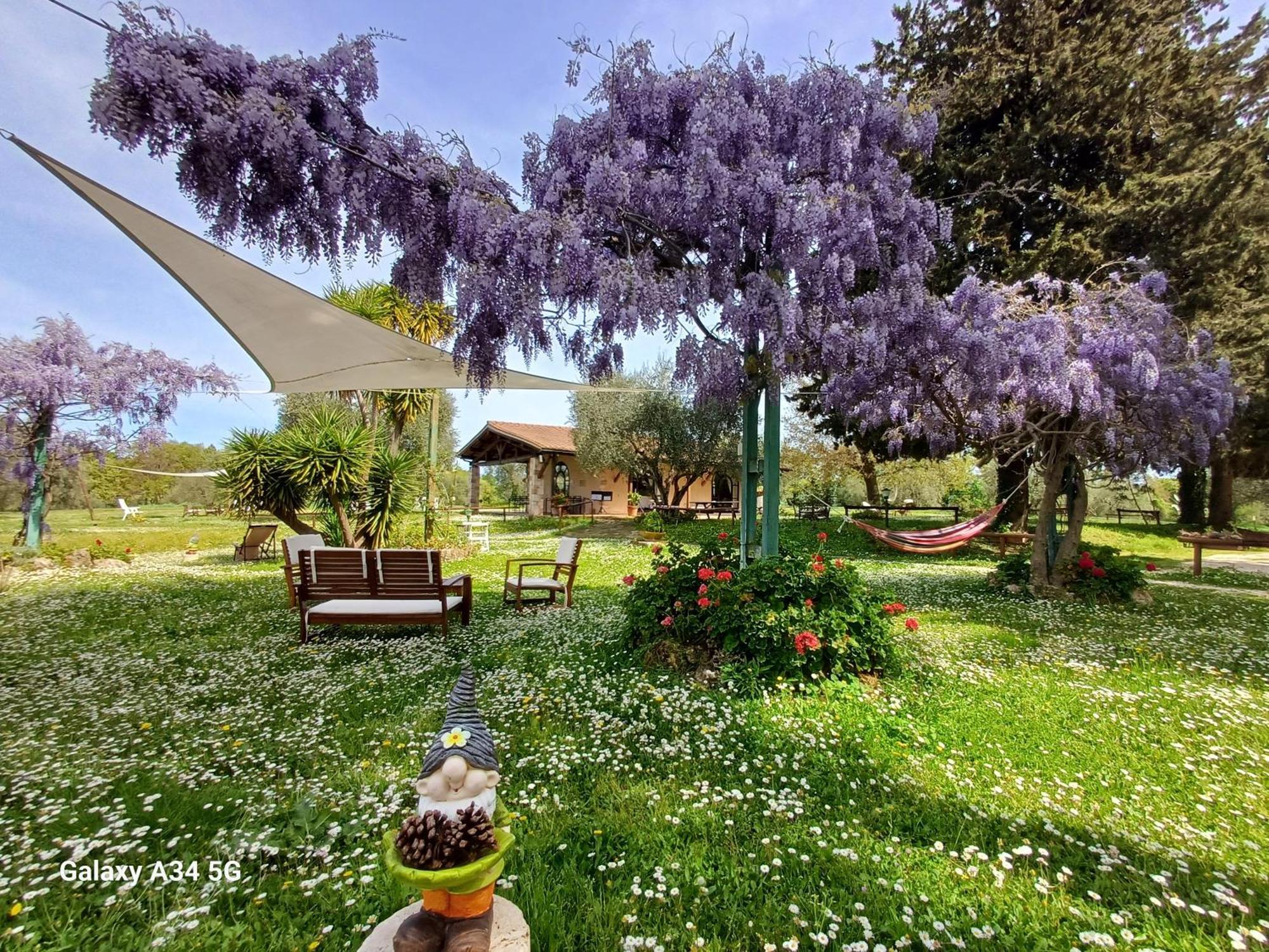 Agriturismo Bio Pian Dei Casali ساتورنيا المظهر الخارجي الصورة